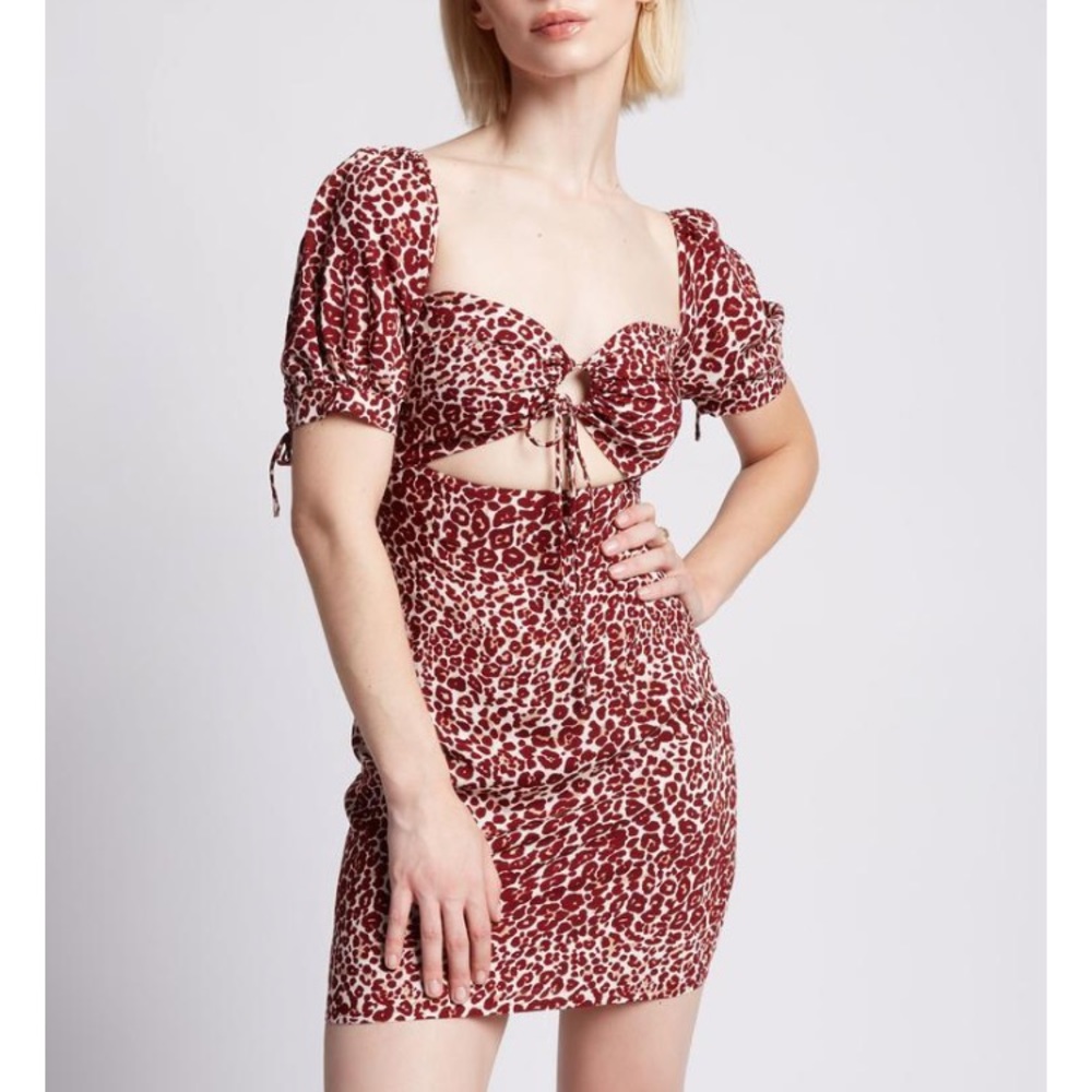 NWT urban outfitters eggie victoria dress